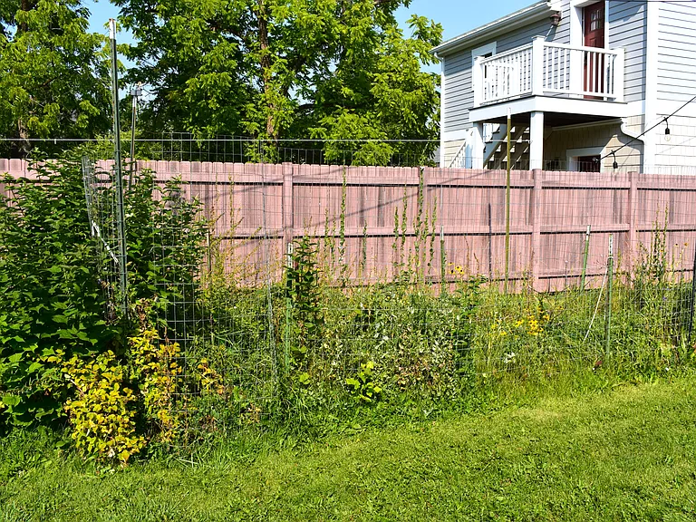 602 Blaine St — Photo 18