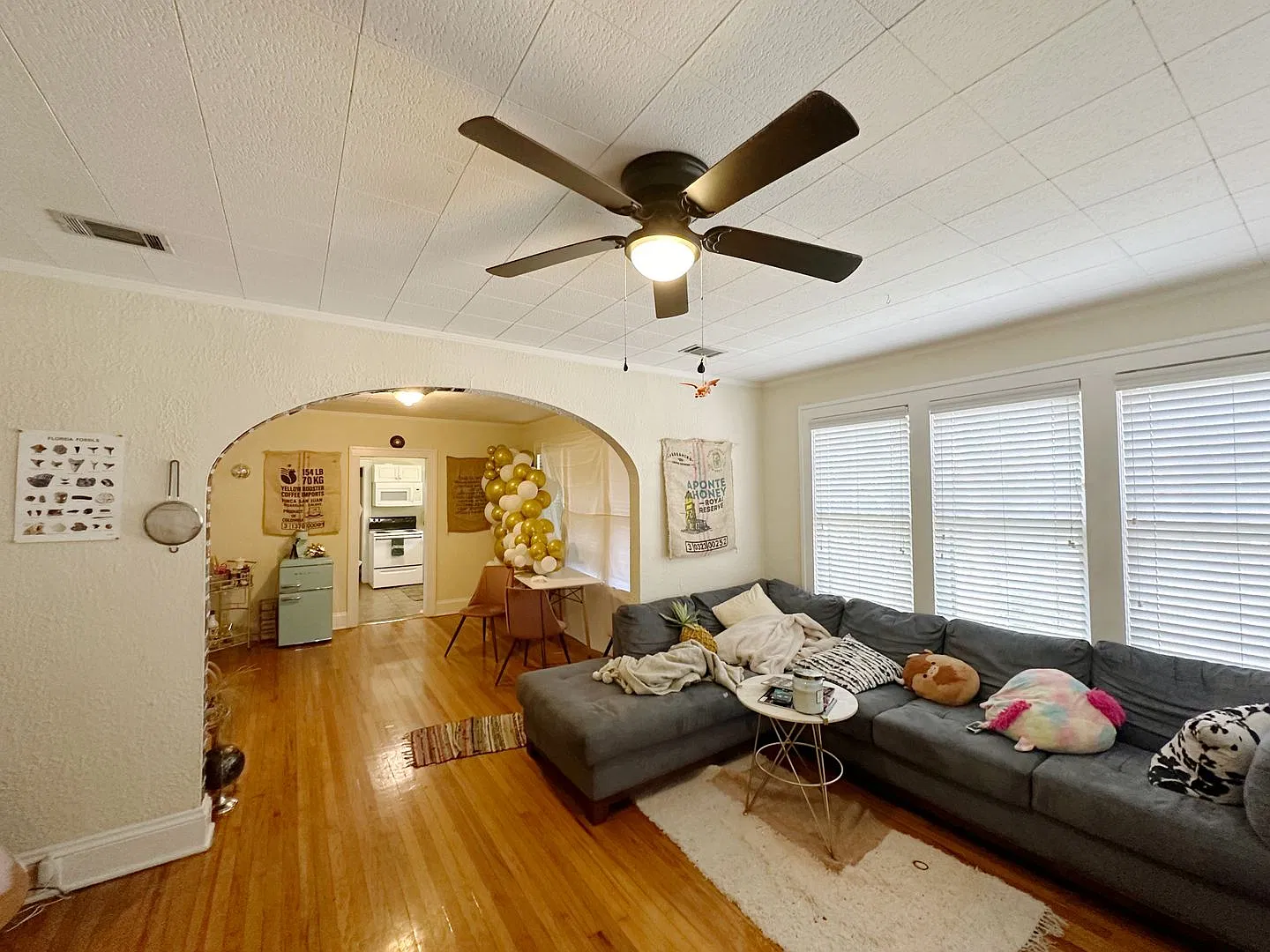 Cottages at Norman - 4 Bedroom 2 Bathroom in Sorority Row — Photo 2