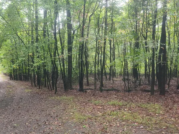 Haven Pl, Berkeley Springs, WV 25411