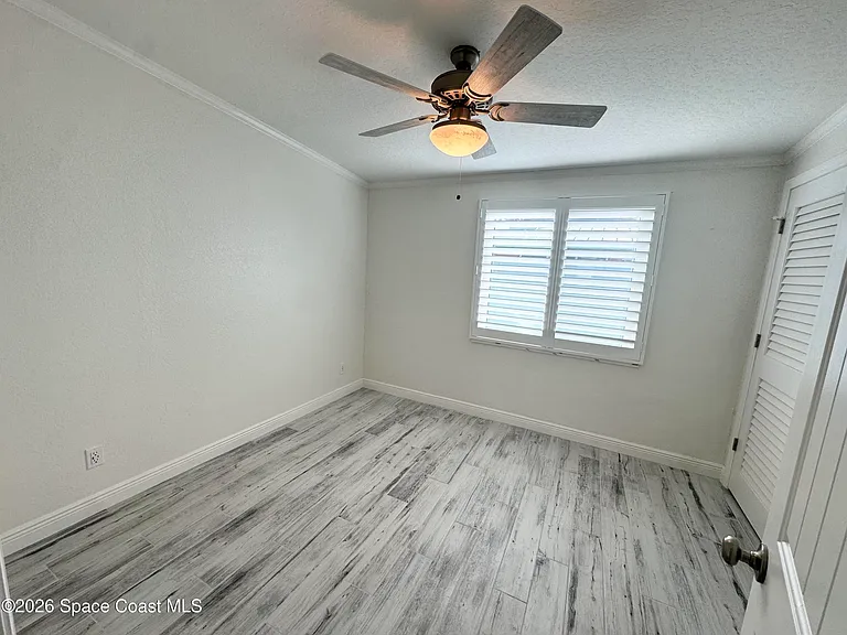 249 Palm Ln — Photo 14