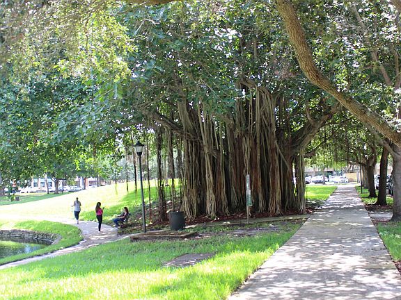 Infront Park