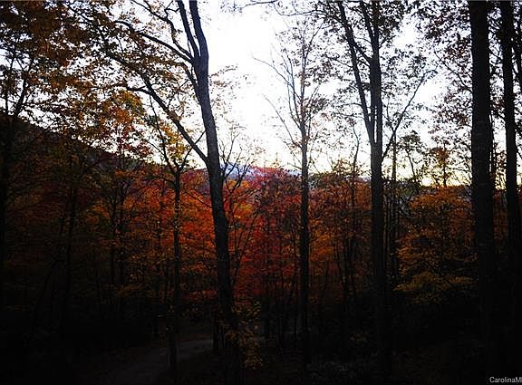 3rd image of 54 Great Aspen Way
