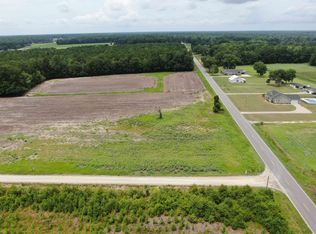 TBD Highway 308 Lot #1, Galivants Ferry, SC 29544