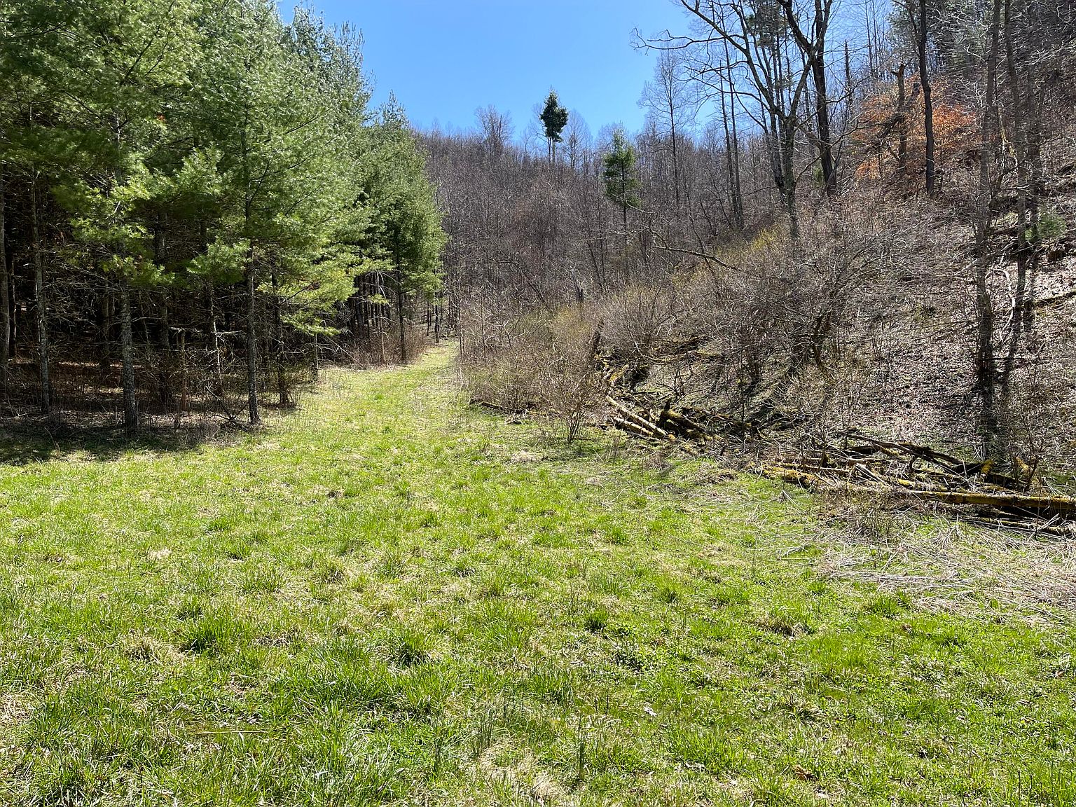 02B Greer Branch Rd, Laurel Bloomery, TN 37680 Zillow