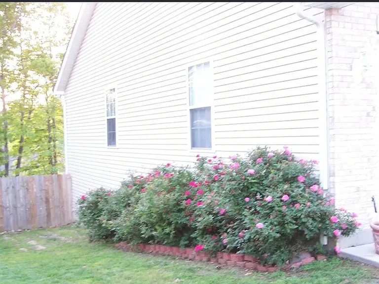 13 Brittany Dail Dr — Photo 13