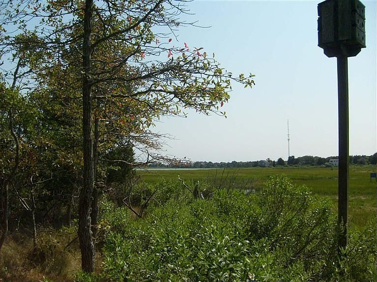 2nd image of 93 Acres Ave