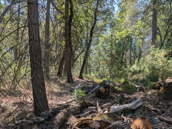 S Manzanita Hills Rd, Colfax, CA 95713