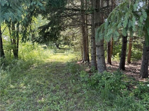 Hayes Hollow Rd #35, Colden, NY 14033