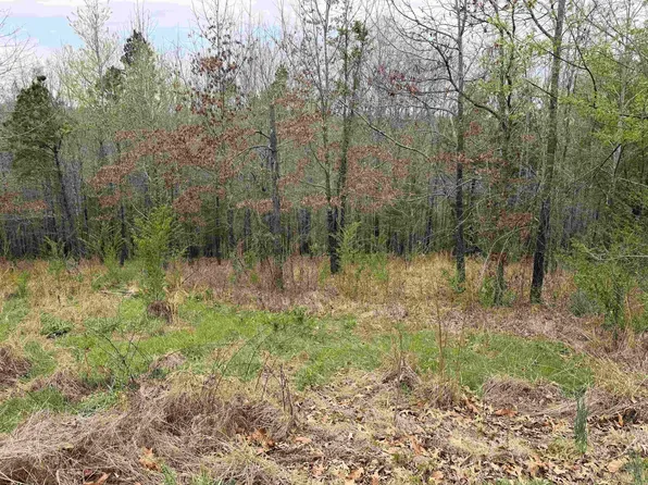 0 Birdie Ln Lot 13, Mountain View, AR 72560