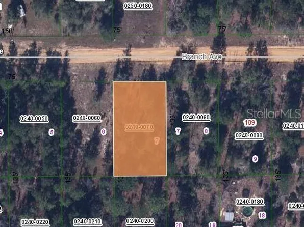 115 Branch Ave #7, Interlachen, FL 32148