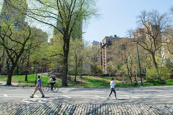 Rented by Compass | media 41