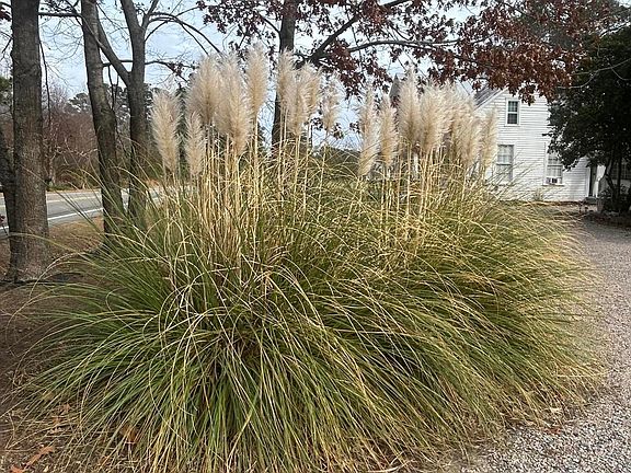 51st image of this home