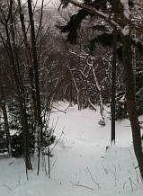 Your yard - guess the drop in