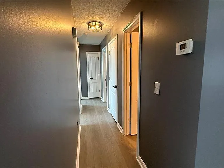 12012 Red Ivy Ln — Photo 4