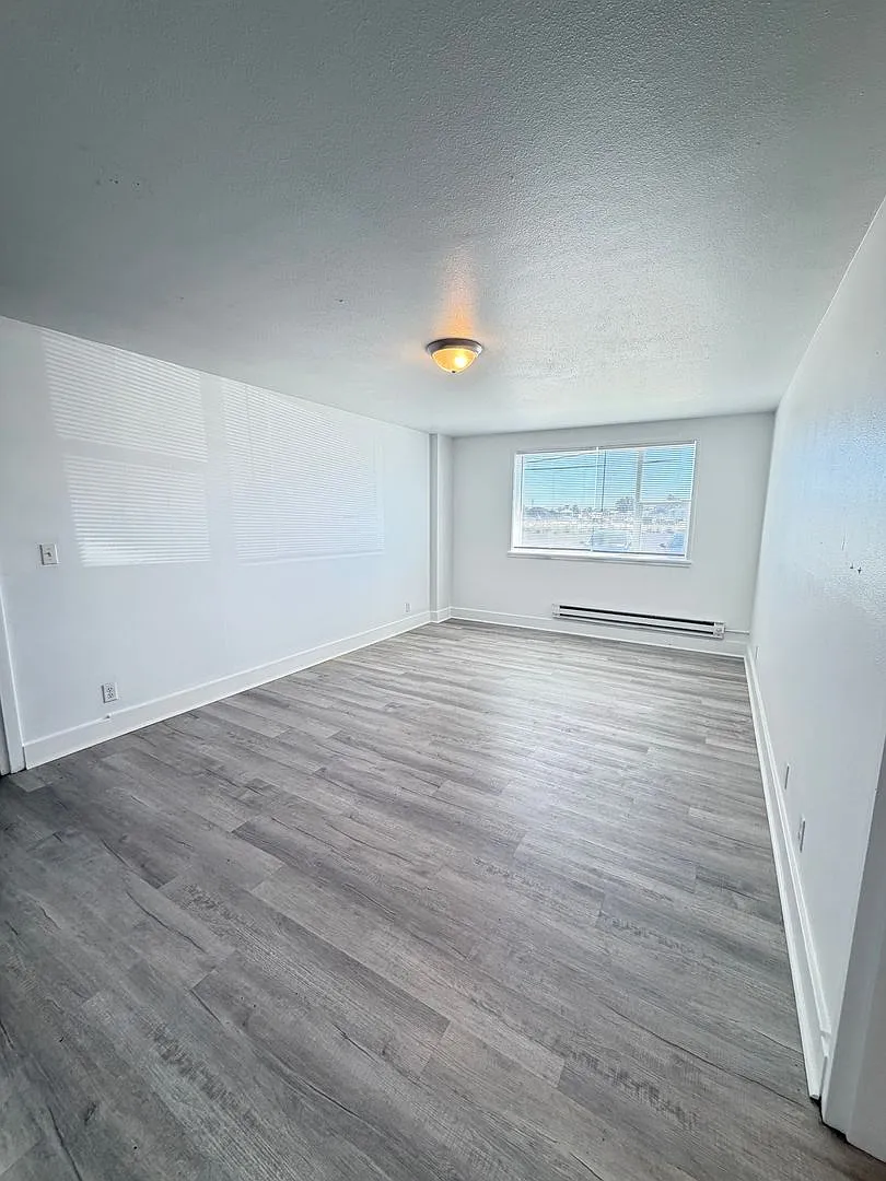 Two Bedrooms, One Bedroom, and Studio Apartments Available — Photo 1
