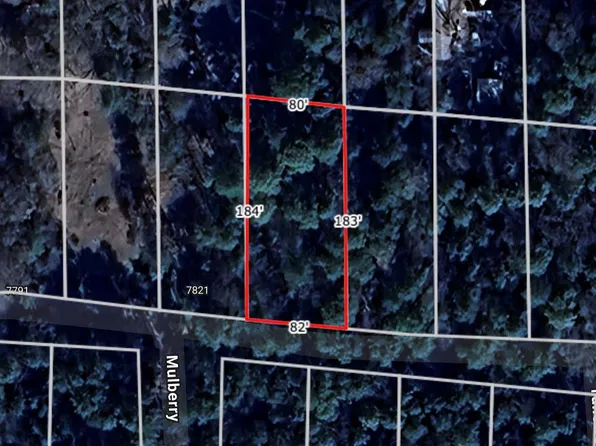LOT 28 Sycamore Ln, Plantersville, TX 77363