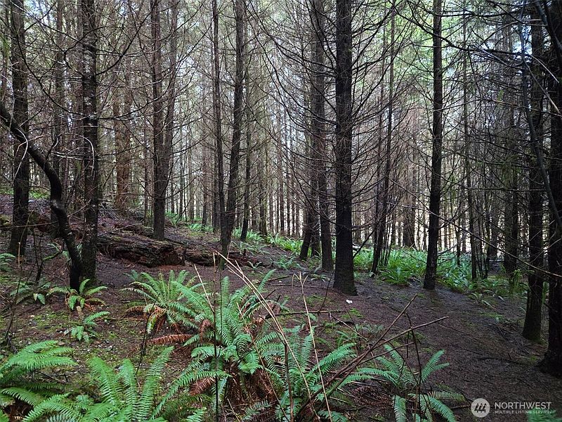 2nd image of 0 End of Workman Creek Road