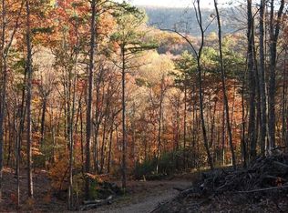 0 Paradise Ln, Blue Ridge, GA 30513