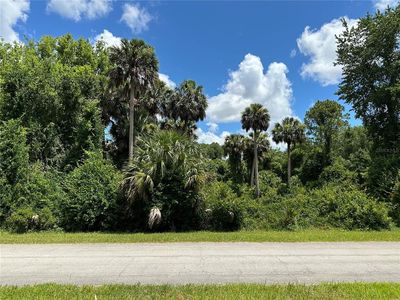 820 Paradise Blvd, Georgetown, FL, 32139