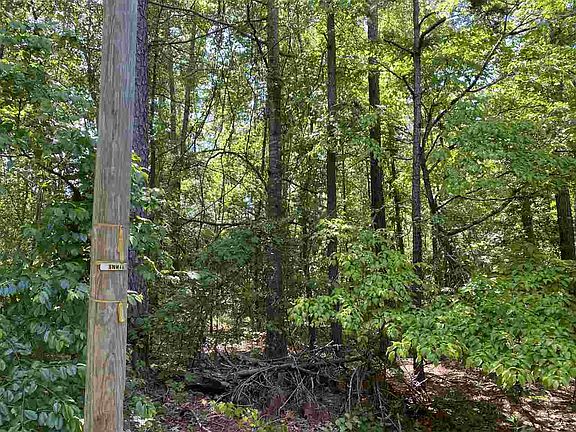 4th image of 3 Barnes Ave Lot 3