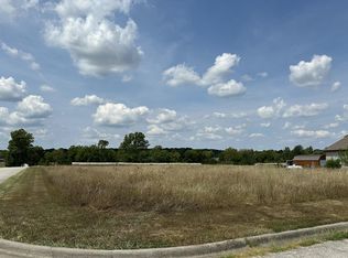 13-5497 Anita Ave, Pleasant Hope, MO 65725