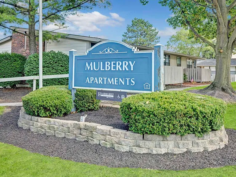 Mulberry — Photo 38
