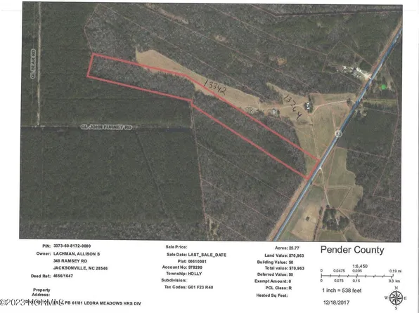 25.77 Acre Nc Hwy 53 E, Burgaw, NC 28425