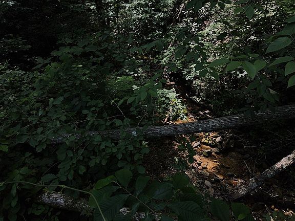 4th image of 0 Black Walnut Flats Rd Lot 7