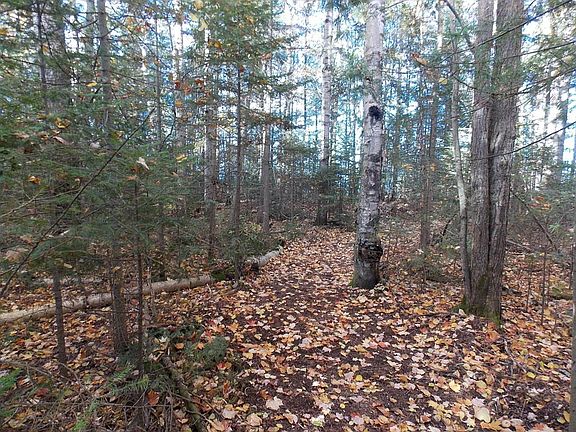 5th image of 9786 High Banks Dr Lot 37