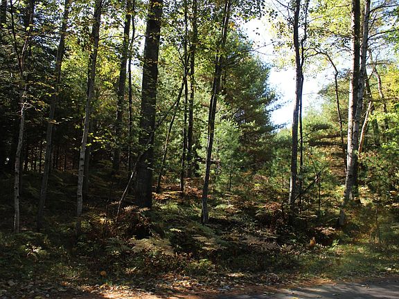 5th image of 0 N Trailwood Dr Lot 55