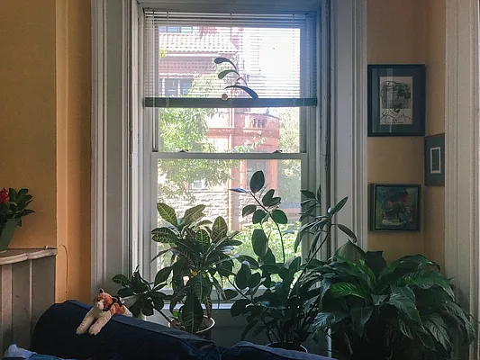 Rented by Jonathan Wachtel, LREB | media 19