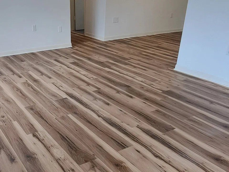 Living room to Dining room and Bedrooms