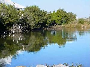 4th image of 117 Harbour Key Dr