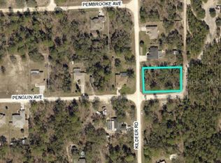 13206 Kildeer Rd, Brooksville, FL 34614