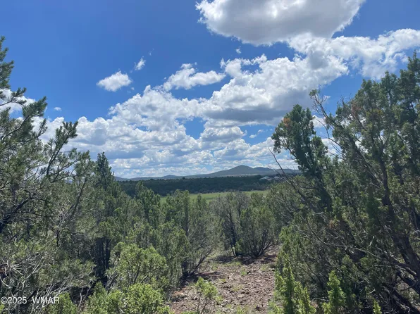 36 N 3321st, Vernon, AZ 85940