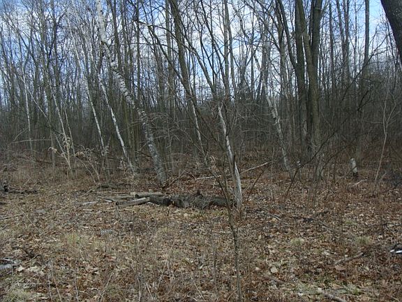 2nd image of 3131 Englund Dr