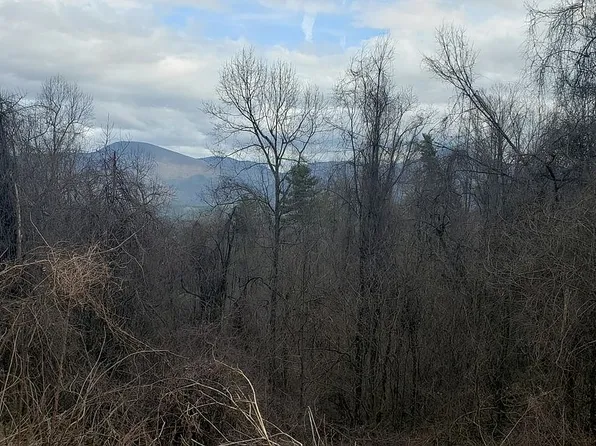 Reece Hollow Rd, Del Rio, TN 37727