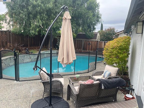 Backyard during the Day