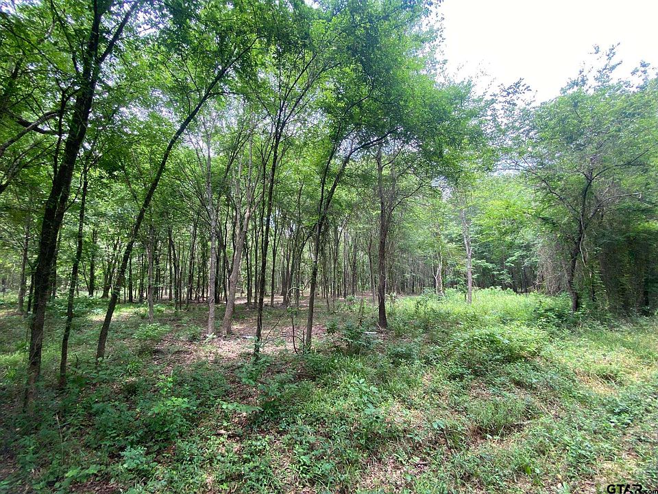 2nd image of 150 County Road 3927