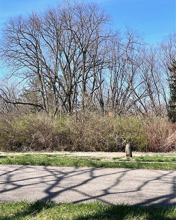 2nd image of 0 N Detroit St