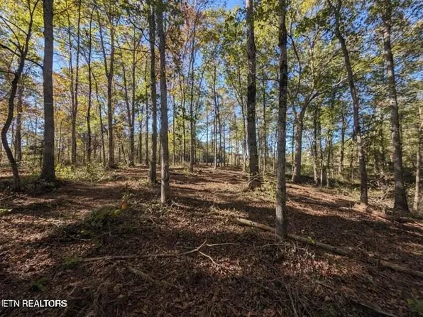 239 Sewell Dr Lot 43, Allardt, TN 38504