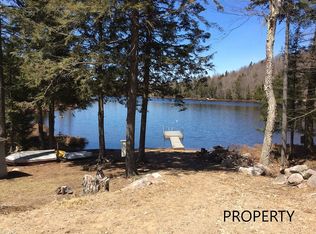 202 Twitchell Rd, Eagle Bay, NY 13331