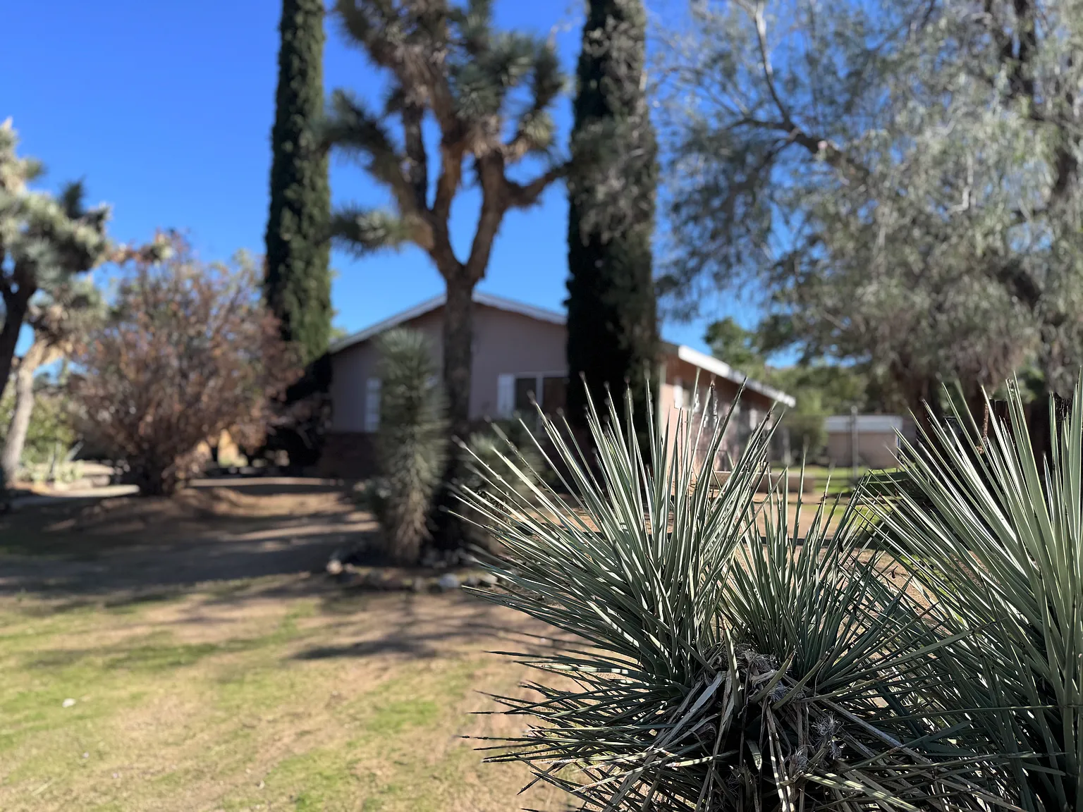 56469 Carlyle Dr — Photo 1