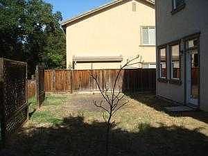 back yard