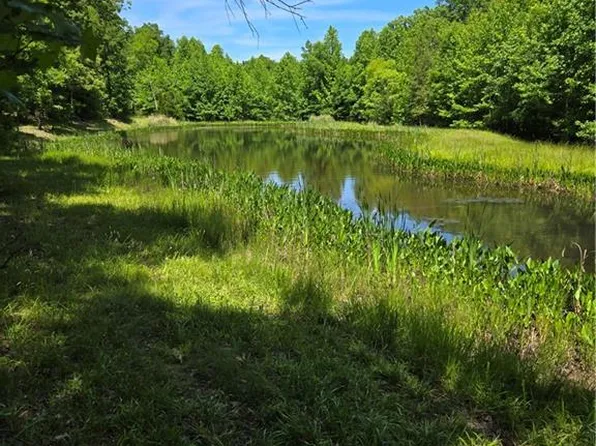 335 Healing Springs Dr, Denton, NC 27239