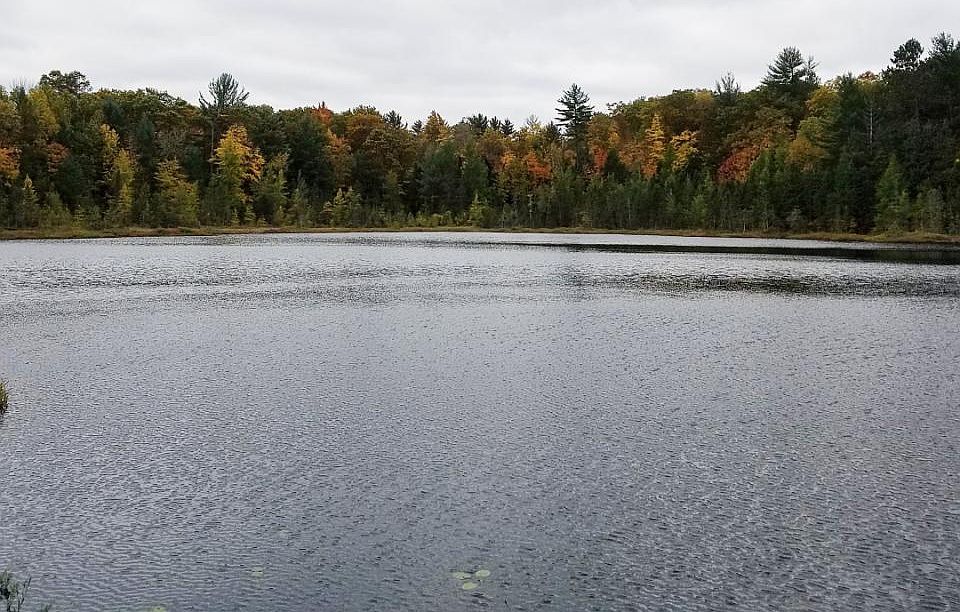 1st image of Brlnd Lake Evelands Way Lot 11