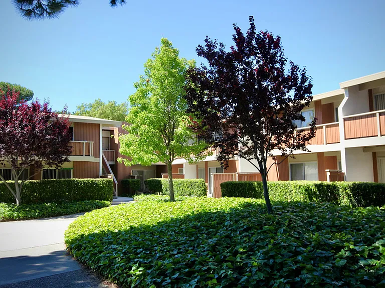 Oakridge Apartments — Photo 11
