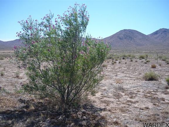 4th image of 9815 N Avenida Sierra Madre