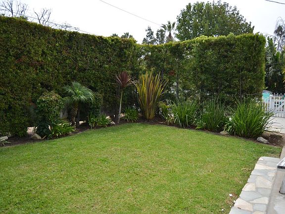 Front Yard