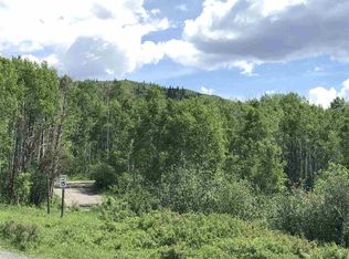 67846 Shady Ln, Collbran, CO 81624